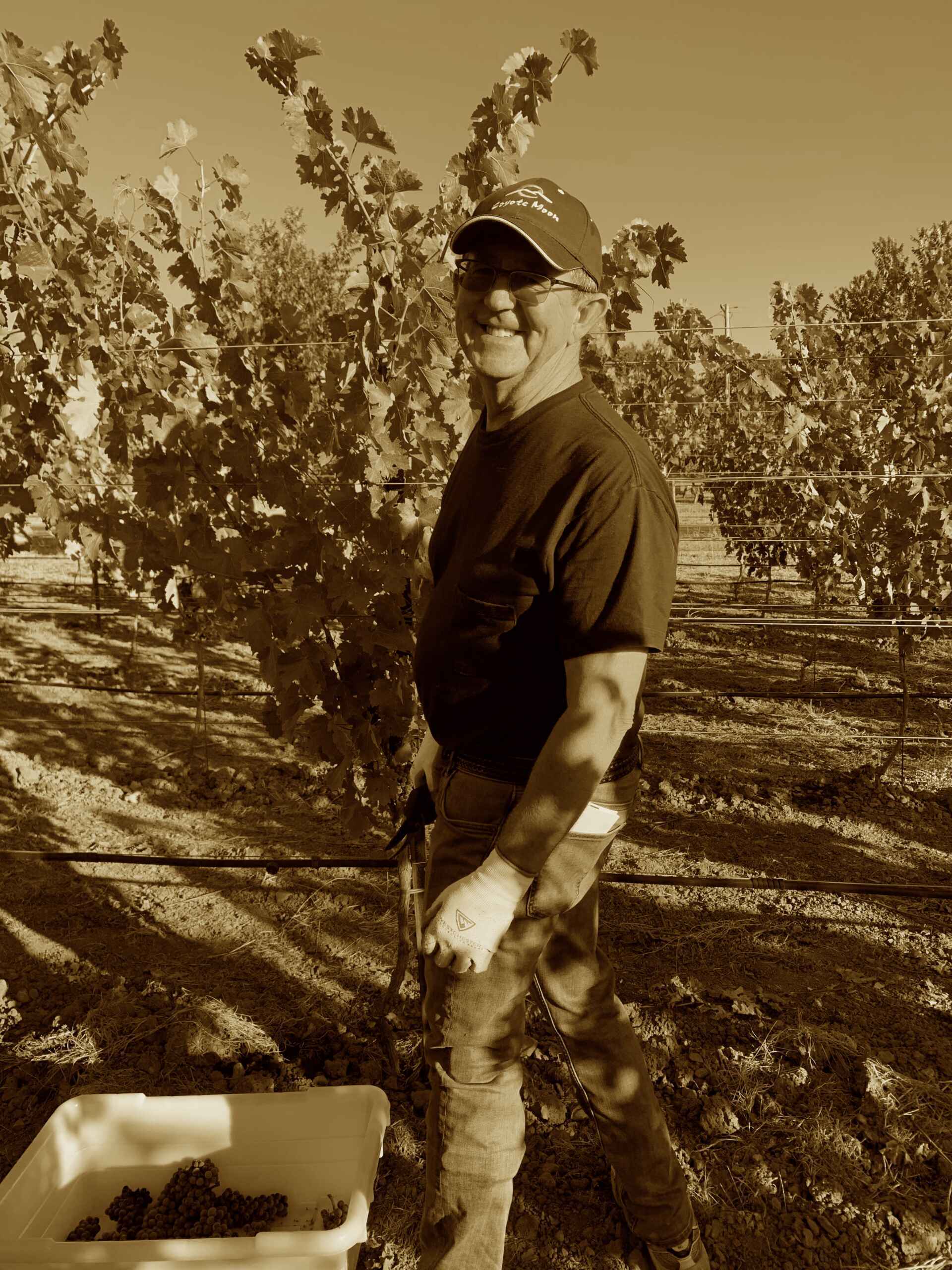 Drew in the vineyard
